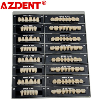 4 sets /box Dental Synthetic Polymer Teeth Resin Denture Dental Teeth Model