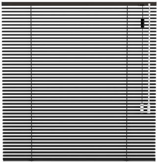 40% korting - Leen Bakker - Fenstr Jaloezie 25mm Standaard Lak - Donker (20518) - Aluminium - Grijs - 120x10x10 Cm