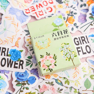 40 pcs/pack Kawaii Alice flower Paper Small Diary Mini Japanese Cute box Stickers set Scrapbooking Flakes Journal Stationery