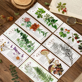 40pcs/pack Nature Collection Sticker Set Green Herb Plant Leaf Floral Flower Mushroom Adhesive Decorative Label For Scrapbooking