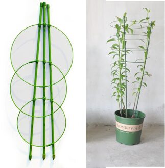 45 Cm Bloem Planten Clematis Klimmen Rack Ondersteuning Plank Huis Tuin Groene Landbouw Plant Grow