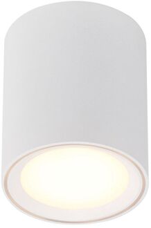 47550101 Fallon LED-opbouwlamp 8.5 W Warm-wit Wit