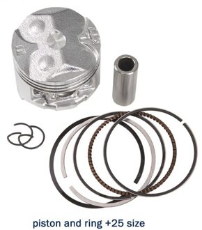 48.5Mm Motorfiets Motor Zuiger En Ring Set Voor Honda CBR250 MC14 MC17 Cbr 250 KT7 Std + 25 + 50 + 75 + 100 + 0.25 + 0.5 + 0.75 + 1.0 0.25 Piston Ring
