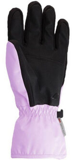 4F Dames fnk f099 skihandschoenen Paars - XL