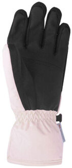 4F Dames fnk f106 skihandschoenen Zwart - XL