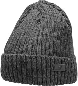 4F H4z22 cam009 82s muts Grijs - L