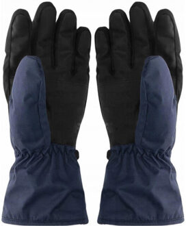 4F Heren aw23afglm096 thinsulate skihandschoenen - maat M Blauw