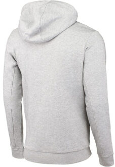 4F Heren effen 1 kangoeroezak hoodie Grijs - XXL / XXXL