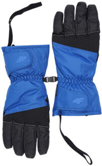 4F Heren fnk m107 skihandschoenen Blauw