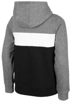 4F Kinderen/kids hjz22 jblm003 46s hoodie Grijs - 134