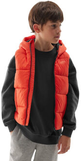 4F Kinderen/kids jwaw24tvjam134 bodywarmer met capuchon Rood - 164/170