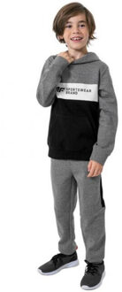 4F Kinderen/kinderen hjz22 jblm003 hoodie Grijs - 128