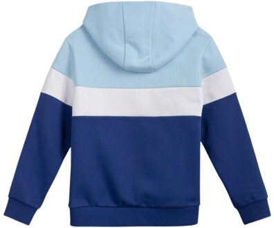 4F Kinderen/kleuters hjl22 jbld002 hoodie Blauw - 122
