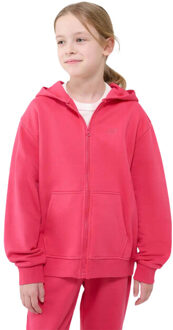 4F Meisjes f1853 full zip hoodie - maat 158/164 Roze
