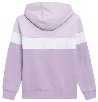 4F Meisjes hjl22 sweatshirt Paars - 122