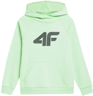 4F Uniseks adult jss23tswsm220 sweatshirt Groen - 164