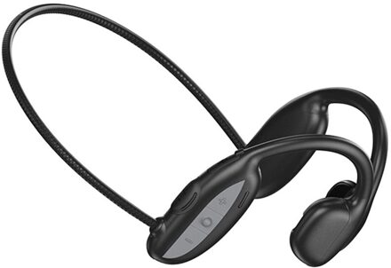 4Gb Mp3 Speler Bluetooth 5.0 2 In 1 Headset IP68 Waterdichte Running Fitness Sport Zwemmen Oortelefoon met 4G Memory Card