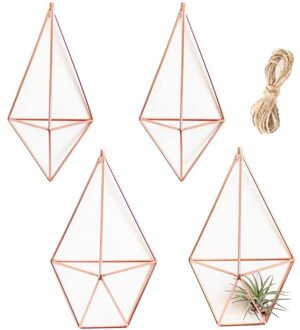 4Pack Wall Mounted Air Planten Houder Geometrische Plant Houder 2 Vormen Tillandsia Rack Accent Decor Air Fern Himmeli Decor