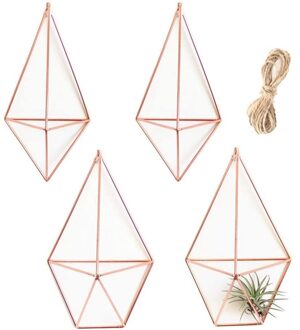 4Pack Wall Mounted Air Planten Houder Geometrische Plant Houder 2 Vormen Tillandsia Rack Accent Decor Air Fern Himmeli Decor