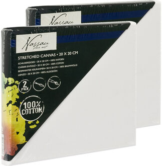 4x Canvas schildersdoeken 20 x 20 cm voor hobby verven/schilderen