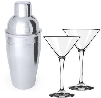 4x Cocktailglazen / martiniglazen 250 ml + cocktailshaker semi-matte 550 ml RVS - Cocktailglazen Transparant