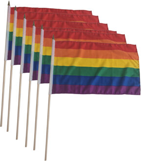 4x Luxe zwaaivlaggen regenboog 30 x 45 cm met houten stok