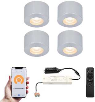 4x Navarra - Mini LED spotjes 12V IP44 Zilver