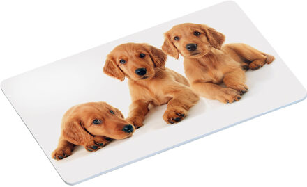 4x Rechthoekige kunststof bordjes/plankjes met puppy print voor kinderen - Placemats Multikleur