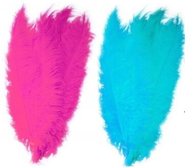 4x stuks grote veer/struisvogelveren 2x blauw en 2x roze van 50 cm