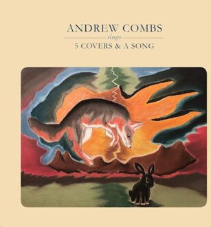 5 Covers & A Song (LP)