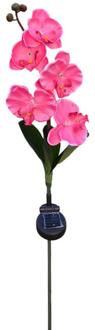 5-Head Solar Vlinder Orchidee Licht LED Levensechte Bloem Outdoor Tuin Decoratieve Gazon Stake Lamp Voor Path Way Gazon landschap roze