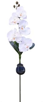 5-Head Solar Vlinder Orchidee Licht LED Levensechte Bloem Outdoor Tuin Decoratieve Gazon Stake Lamp Voor Path Way Gazon landschap wit