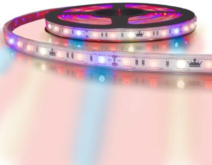 5 meter groei led strip ip65/67 24v - r:w:r:b=2:1:2:1 - 60 leds p/m