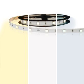 5 meter led strip dual white budget - 60 smd leds pm - 24v ip20