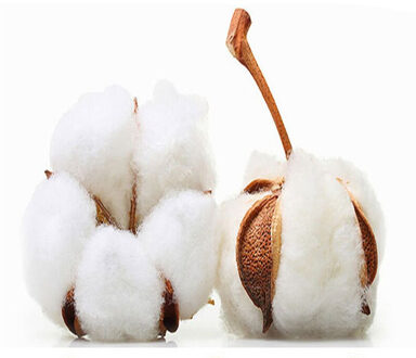 5 Pairs/Heren Sokken Zomer Boot Sokken Katoenen Sokken Sportsokken Korte Sokken Mannen Sokken stijl 01