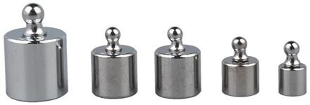 5 Pcs 50G 20G 10G 5G Grams Precision Chrome Kalibratie Schaal Gewicht Set Kit