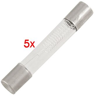 5 Pcs Vervanging 5KV 0.75A 750mA Zekering Buizen Voor Miniwave Oven