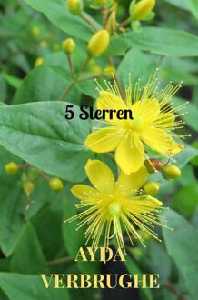 5 Sterren -  Ayda Verbrughe (ISBN: 9789403757780)