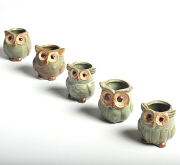 5 Stks/partij Creatieve Keramische Uil Vorm Bloempotten Voor Vlezige Vetplant Dier Stijl Planter Home Garden Office Decoratie