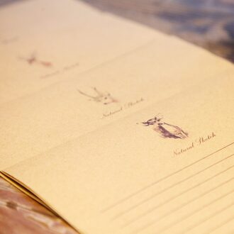 5 stks Sika herten Ambachtelijke Papier Enveloppen Vintage Retro Lege Mini Papier Enveloppen Bruiloft Uitnodiging Wenskaarten 11*16 writing papier