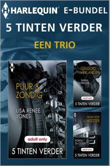 5 Tinten Verder e-bundel - een trio / 1 - eBook Lisa Renee Jones (9461994702)