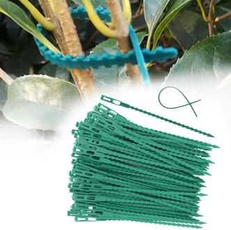 50/30 Pcs Fishbone Spur Groen Landschap Herbruikbare Tuin Plastic Plant Riem Banden Tie Tuin Fishbone Band Gereedschap 50stk 13CM