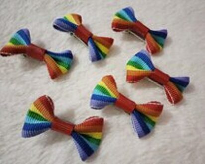 50 stks/partij Mode Regenboog Hond Huisdier Accessoire Grooming Puppy Teddy Yorkshire Haar Elastiekjes clip