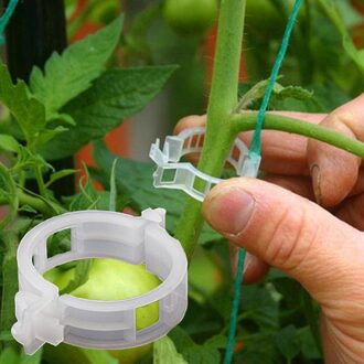 50 Stuks Plastic Plant Ondersteuning Clips Voor Tomaten Opknoping Latwerk Wijnstokken Verbindt Planten Kas Clip Groente Tuin Ornament