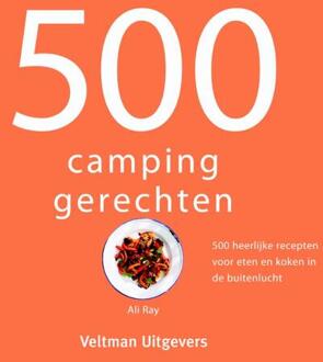 500 campinggerechten - Boek Ali Ray (9048314704)