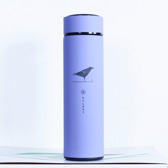 500 Ml Water Geïsoleerde Thermos Vacuüm Fles 304 Rvs Houden Thermo Mok Thermos Cup Thermische Fles Met Thee zeef B