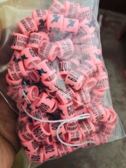 500 Stuks Kleur Plastic Vogel Ring Duif Ring Lege Ring roze