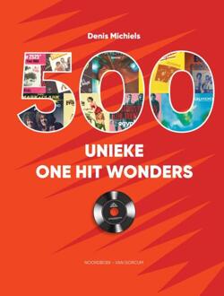 500 unieke One Hit Wonders -  Denis Michiels (ISBN: 9789464712841)