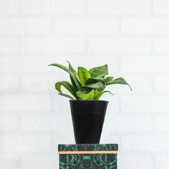 500Pcs Draagbare Plant Kwekerij Cup Planten Planter Tuin Plant Starten Potten zwart 1