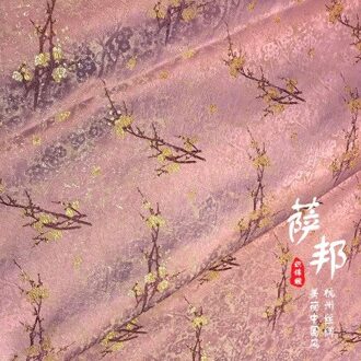 50Cm * 75Cm/Stuk, Pruimenbloesem Jacquard Zijden Doek, Jurk, Qipao, Kussen, tafel Vlag, Gordijn, Quilt Stof, Diy Handgemaakte Materiaal 3